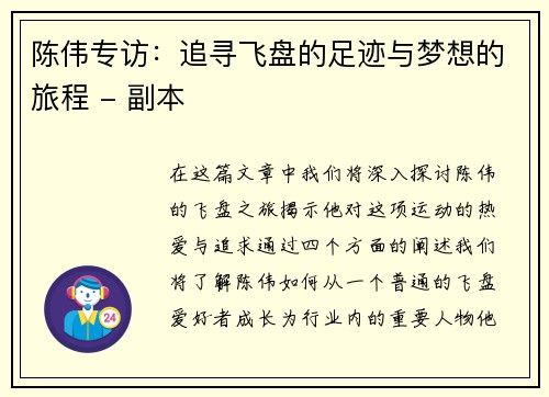 陈伟专访：追寻飞盘的足迹与梦想的旅程 - 副本